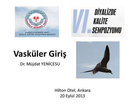 Vasküler Giriş Dr. Müjdat YENİCESU Hilton Otel, Ankara 20 Eylül 2013