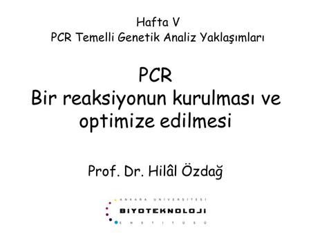 PCR Bir reaksiyonun kurulması ve optimize edilmesi