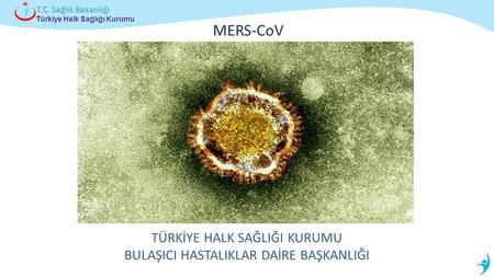 Türkiye Halk Sağlığı Kurumu T.C. Sağlık Bakanlığı MERS-CoV TÜRKİYE HALK SAĞLIĞI KURUMU BULAŞICI HASTALIKLAR DAİRE BAŞKANLIĞI.
