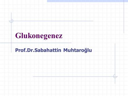 Prof.Dr.Sabahattin Muhtaroğlu