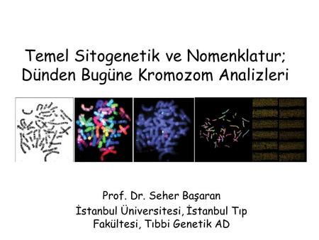 Temel Sitogenetik ve Nomenklatur; Dünden Bugüne Kromozom Analizleri