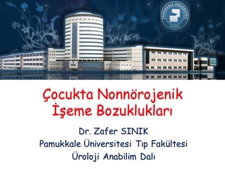 Çocukta Nonnörojenik İşeme Bozuklukları Dr. Zafer SINIK Pamukkale Üniversitesi Tıp Fakültesi Üroloji Anabilim Dalı.