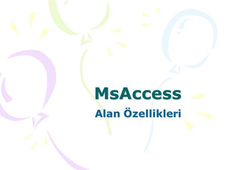 MsAccess Alan Özellikleri.
