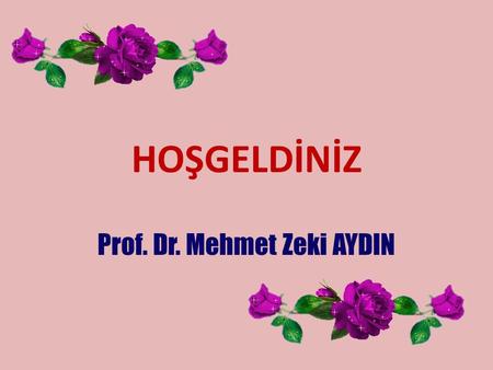 Prof. Dr. Mehmet Zeki AYDIN