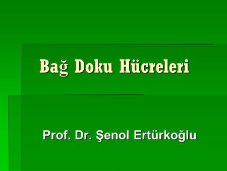 Prof. Dr. Şenol Ertürkoğlu