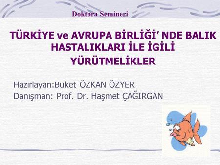Hazırlayan:Buket ÖZKAN ÖZYER Danışman: Prof. Dr. Haşmet ÇAĞIRGAN