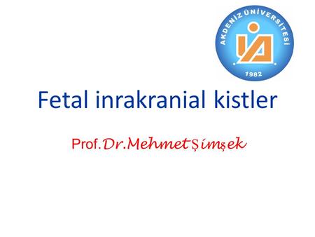Fetal inrakranial kistler