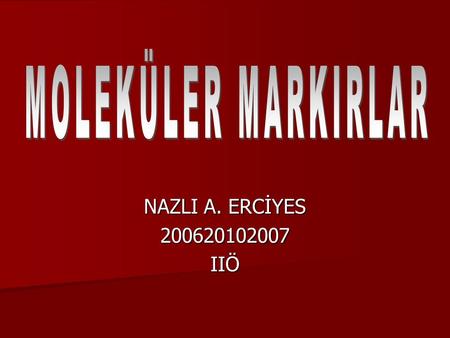 MOLEKÜLER MARKIRLAR NAZLI A. ERCİYES 200620102007 IIÖ.
