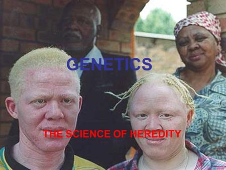 GENETICS THE SCIENCE OF HEREDITY. HEREDITY AND MENDEL GENETICS 1. TRAIT:2. HEREDITY: