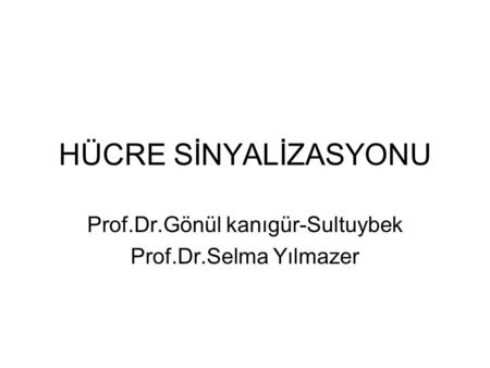 Prof.Dr.Gönül kanıgür-Sultuybek Prof.Dr.Selma Yılmazer