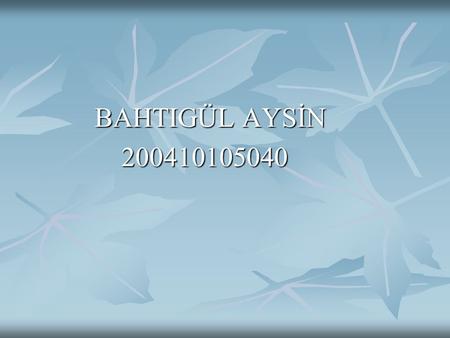 BAHTIGÜL AYSİN 200410105040.