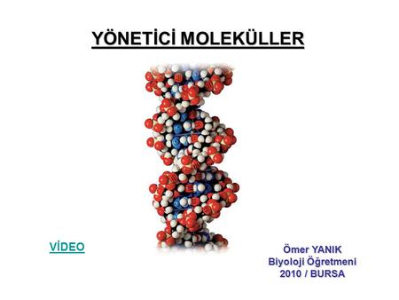 YÖNETİCİ MOLEKÜLLER VİDEO Ömer YANIK Biyoloji Öğretmeni 2010 / BURSA.