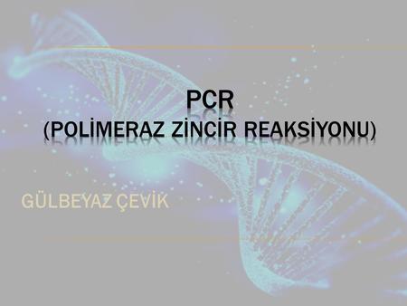 PCR (POLİMERAZ ZİNCİR REAKSİYONU)
