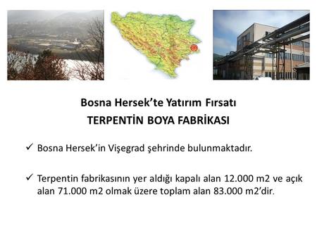 Bosna Hersek’te Yatırım Fırsatı TERPENTİN BOYA FABRİKASI