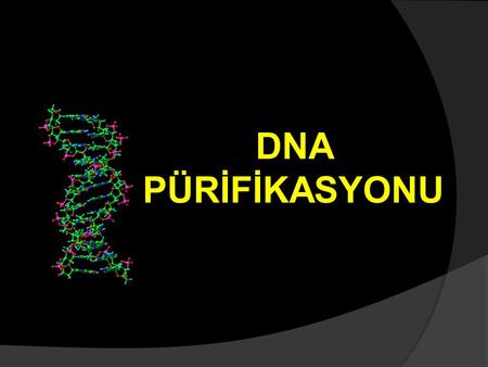 DNA PÜRİFİKASYONU.