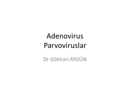 Adenovirus Parvoviruslar