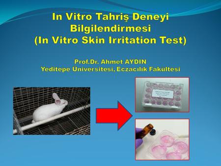 In Vitro Tahriş Deneyi Bilgilendirmesi (In Vitro Skin Irritation Test) Prof.Dr. Ahmet AYDIN Yeditepe Üniversitesi, Eczacılık Fakültesi.