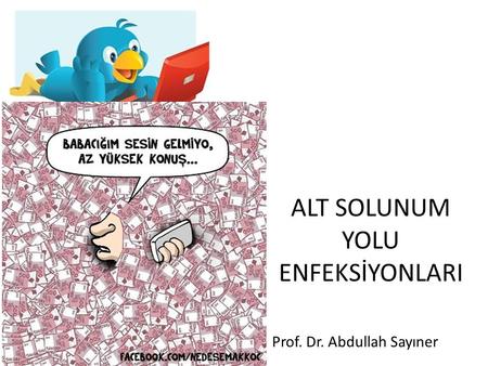 Prof. Dr. Abdullah Sayıner