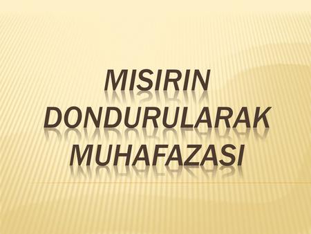 MISIRIN DONDURULARAK MUHAFAZASI