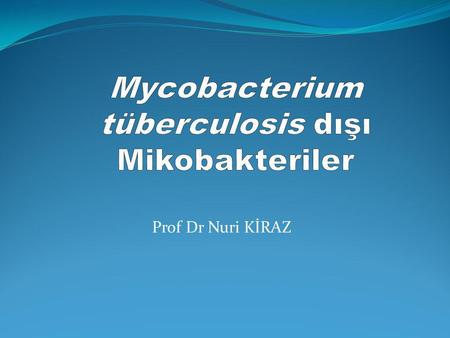 Mycobacterium tüberculosis dışı Mikobakteriler