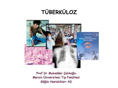 Prof Dr Mukadder Çalıkoğlu Mersin Üniversitesi Tıp Fakültesi