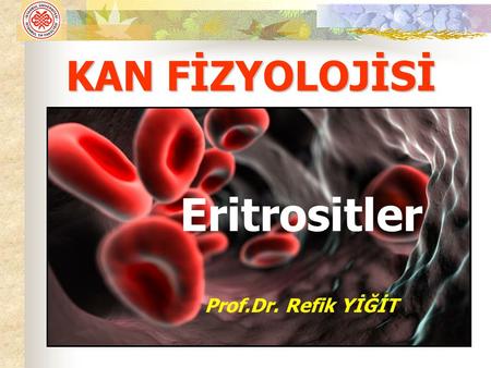 KAN FİZYOLOJİSİ Eritrositler Prof.Dr. Refik YİĞİT.