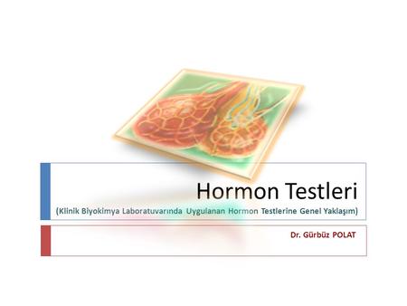 Hormon Testleri (Klinik Biyokimya Laboratuvarında Uygulanan Hormon Testlerine Genel Yaklaşım) Dr. Gürbüz POLAT.