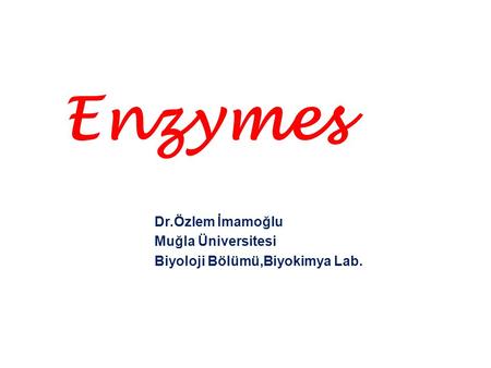 Enzymes Dr.Özlem İmamoğlu Muğla Üniversitesi