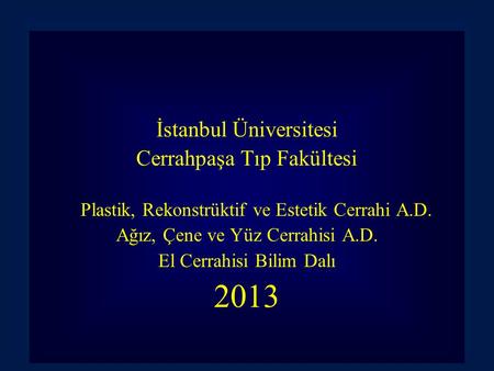 2013 İstanbul Üniversitesi Cerrahpaşa Tıp Fakültesi