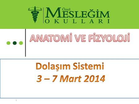 ANATOMİ VE FİZYOLOJİ Dolaşım Sistemi 3 – 7 Mart 2014.