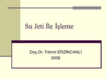 Doç.Dr. Fehmi ERZİNCANLI 2008