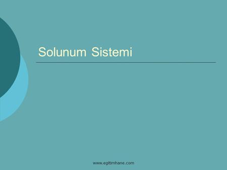 Solunum Sistemi www.egitimhane.com.
