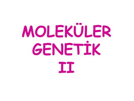 MOLEKÜLER GENETİK II.