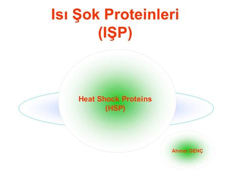 Isı Şok Proteinleri (IŞP)