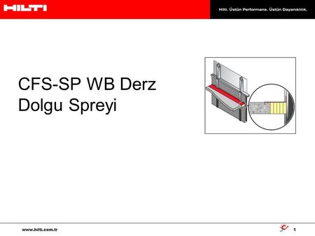 CFS-SP WB Derz Dolgu Spreyi