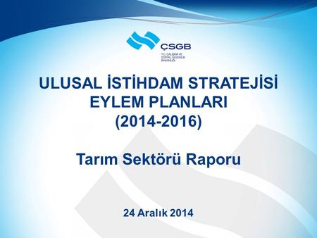 ULUSAL İSTİHDAM STRATEJİSİ EYLEM PLANLARI (2014-2016) Tarım Sektörü Raporu 24 Aralık 2014.