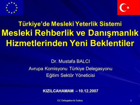 EC Delegation to Turkey 1 Türkiye’de Mesleki Yeterlik Sistemi Mesleki Rehberlik ve Danışmanlık Hizmetlerinden Yeni Beklentiler Dr. Mustafa BALCI Avrupa.
