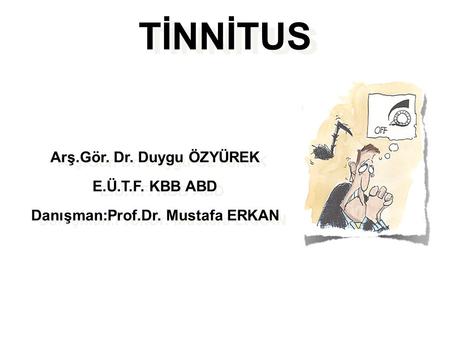Arş.Gör. Dr. Duygu ÖZYÜREK Danışman:Prof.Dr. Mustafa ERKAN