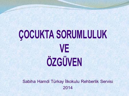 Sabiha Hamdi Türkay İlkokulu Rehberlik Servisi 2014