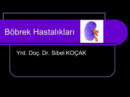 Böbrek Hastalıkları Yrd. Doç. Dr. Sibel KOÇAK.