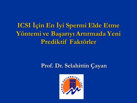 Prof. Dr. Selahittin Çayan