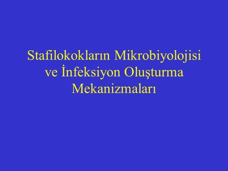 Stafilokokların Mikrobiyolojisi ve İnfeksiyon Oluşturma Mekanizmaları