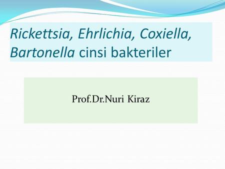 Rickettsia, Ehrlichia, Coxiella, Bartonella cinsi bakteriler