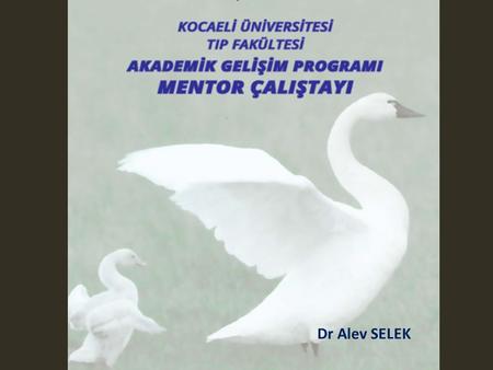 Mentor Çalıştayı 2013 Dr Alev SELEK.