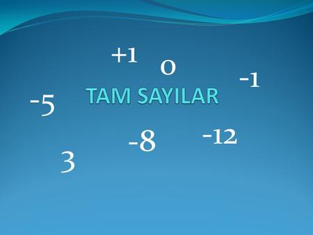+1 TAM SAYILAR -1 -5 -12 -8 3.