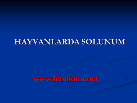 HAYVANLARDA SOLUNUM www.fenokulu.net.