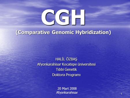 CGH (Comparative Genomic Hybridization)