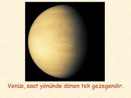 Venüs, saat yönünde dönen tek gezegendir.
