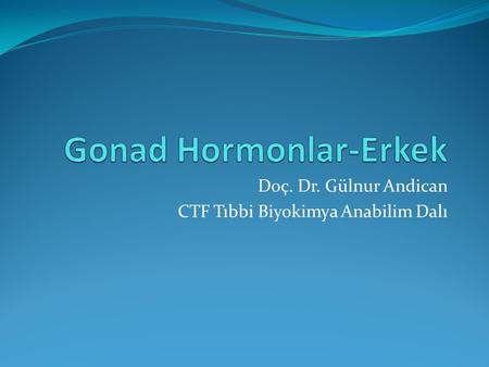 Gonad Hormonlar-Erkek