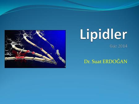 Lipidler Güz 2014 Dr. Suat ERDOĞAN.